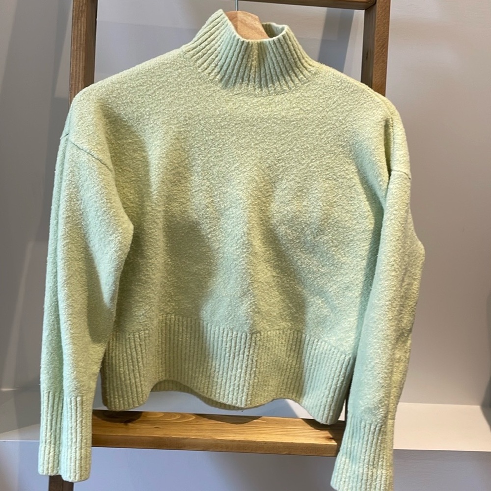Light green & Other Stories cropped(ish) turtle neck